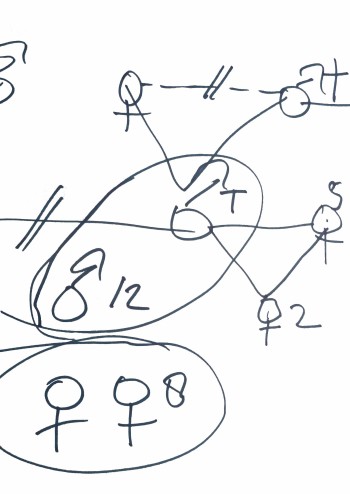 Genogram